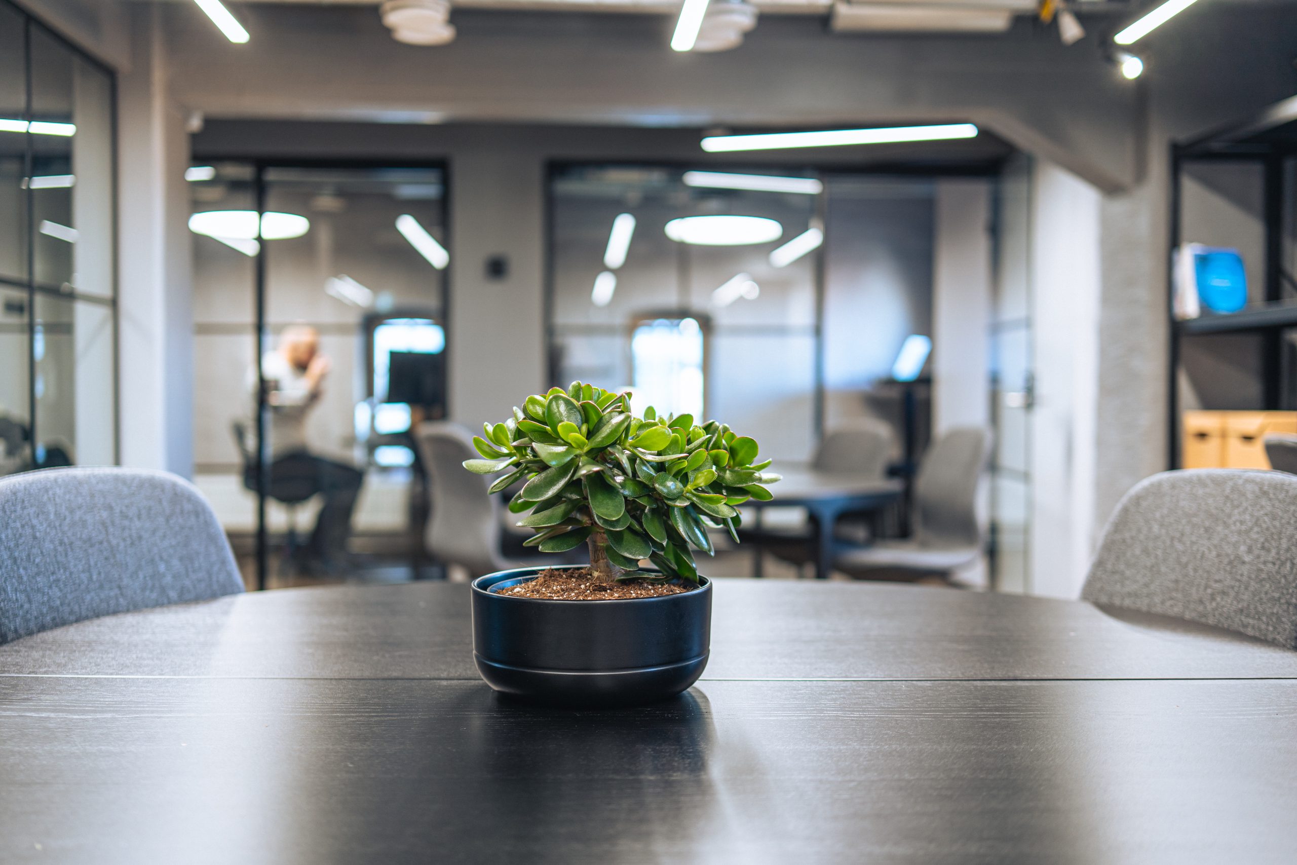 Creago_kanavaranta_9-032-scaled